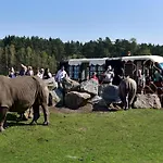 Luxuszelt Im Serengeti Park