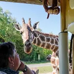 Nyaraló Luxuszelt Im Serengeti Park *