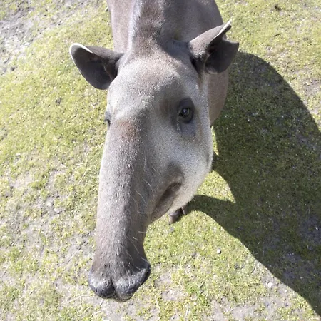 Luxuszelt Im Serengeti Park * Ходенхаген