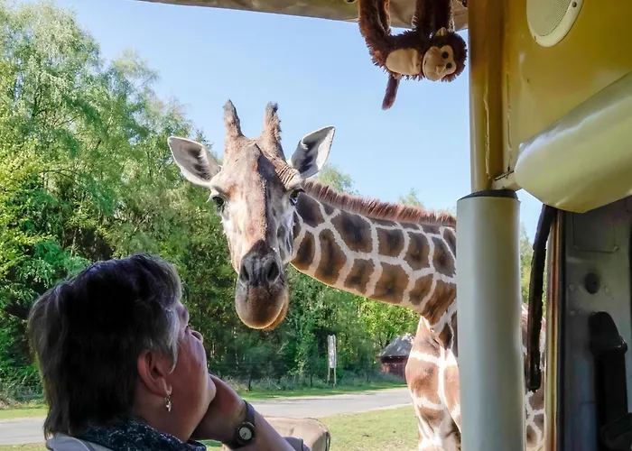 Дом отдыха Luxuszelt Im Serengeti Park *